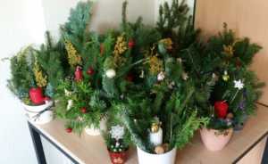 IMG-20191119-WA0001_1